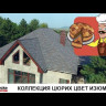 Мягкая кровля Docke Premium Цюрих Изюм 1