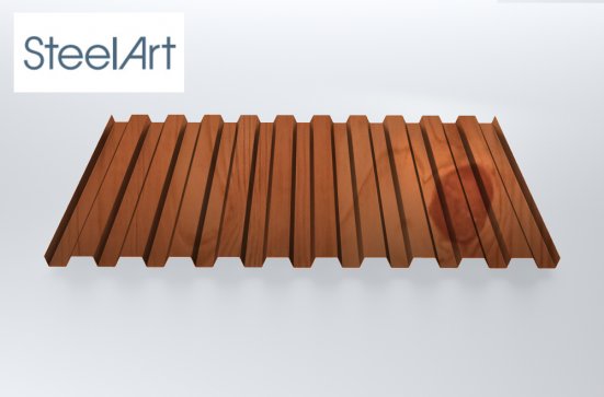 Профнастил C21 SteelX SteelArt
