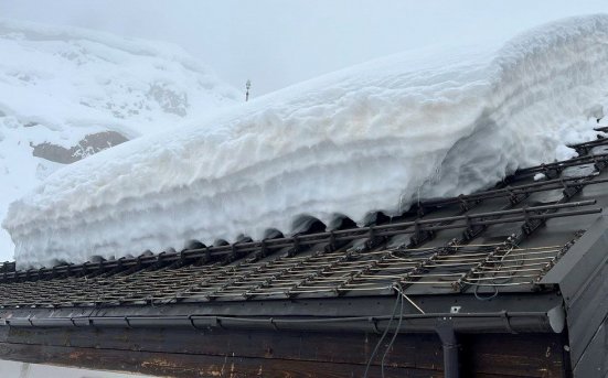 Снегозадержатель трубчатый универсальный LumiEste Эконом 3 м 40х20