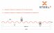 Профнастил C21 SteelX полиэстер