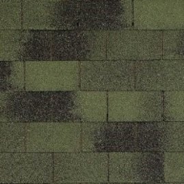 Мягкая кровля Тегола Top Shingle Винтаж Зеленый